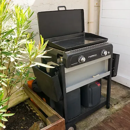 Maison Des Pins - D'olonne *