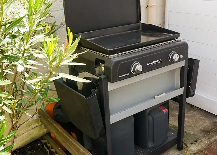 Maison Des Pins - D'olonne *